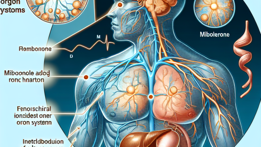 Cómo responde el cuerpo a Mibolerone tras una etapa de descanso