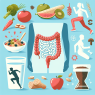 Cómo mantener el sistema digestivo sano con ECA