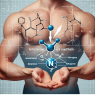Enantato de testosterona y retención de nitrógeno: ¿qué significa?