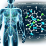 Efectos de Yohimbine chlorine sin acompañarlo de dieta